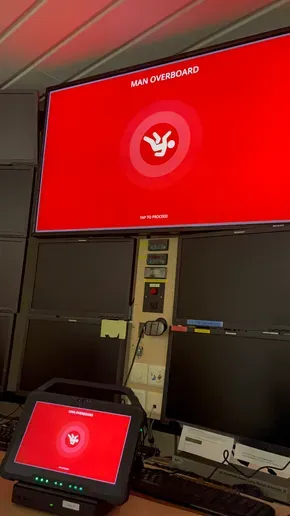 Dimeq (4).290x516.webp